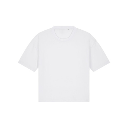 Stella Nova Miniaturansicht