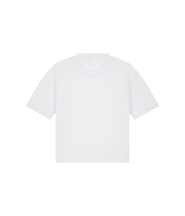 Stella Nova Miniaturansicht