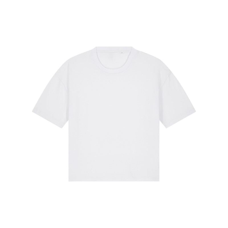 Stella Nova Miniaturansicht