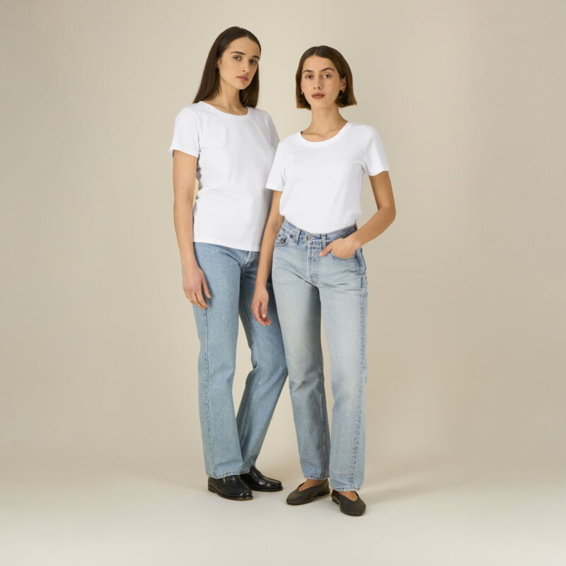 Stella Expresser 2.0 Miniaturansicht