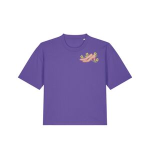 Stella Nova Miniaturansicht
